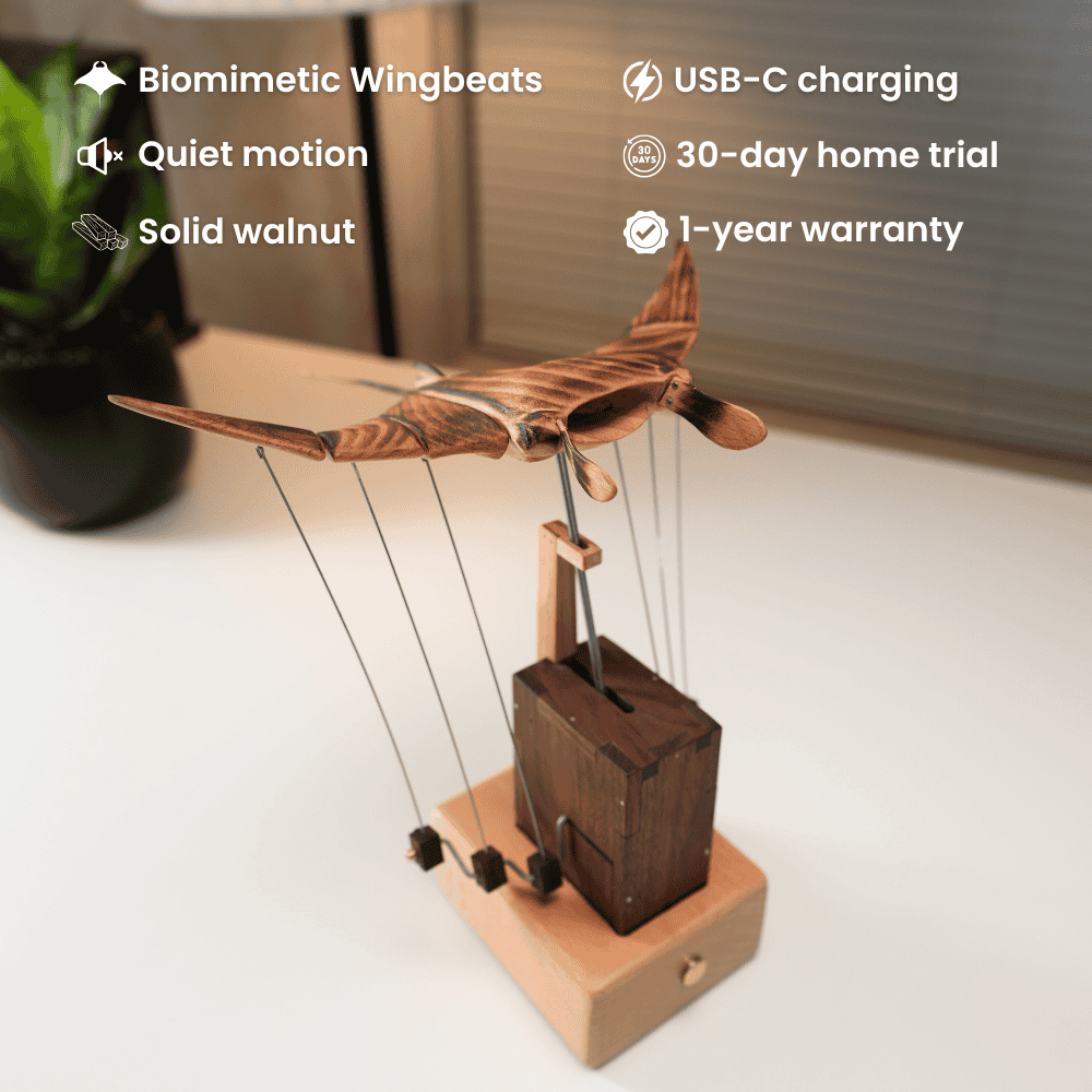 Wooden Manta Ray Kinetic Sculpture
