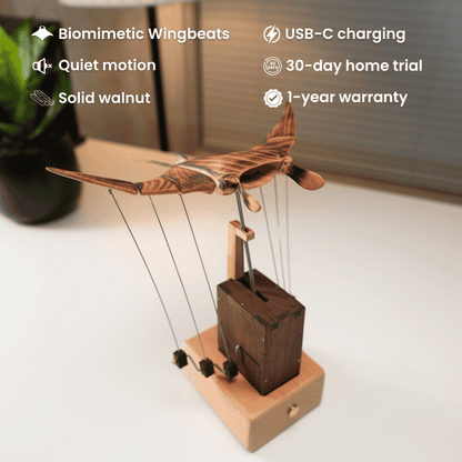 Wooden Manta Ray Kinetic Sculpture