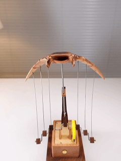 Wooden Manta Ray Kinetic Sculpture